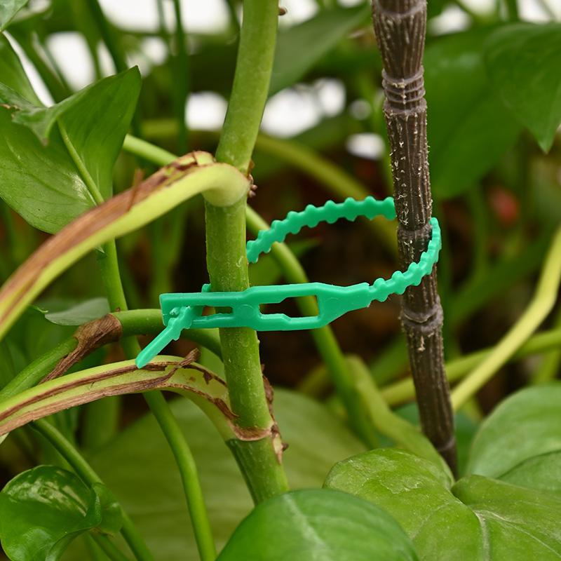 Garden Green Zip Ties Adjustable Plastic Plant Cable Ties Reusable Wire Ties Garden Plant Vine Supports Tomato Clip Fastener
