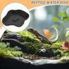 Reptile Dish Turtle Feeding Plate Reptile Habitat Accessories Enclosure With Ramp For Salamander Bearded Dragon Lizard Frog