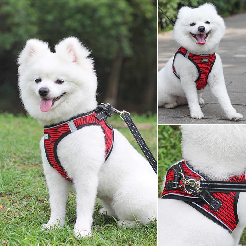 Mesh Dog Harness and Leash Set for Small Medium Dogs Reflective Breathable Puppy Leads French Bulldog Chest Straps Pet Supplies