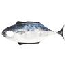 Fish Costume Cosplay Fish Costume Funny Halloween Suit Woman Man Jumpsuit Carnival Disguise Wearing Show Party