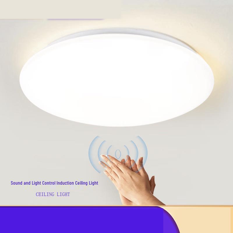 

Sound & Light Control Emergency Ceiling Light