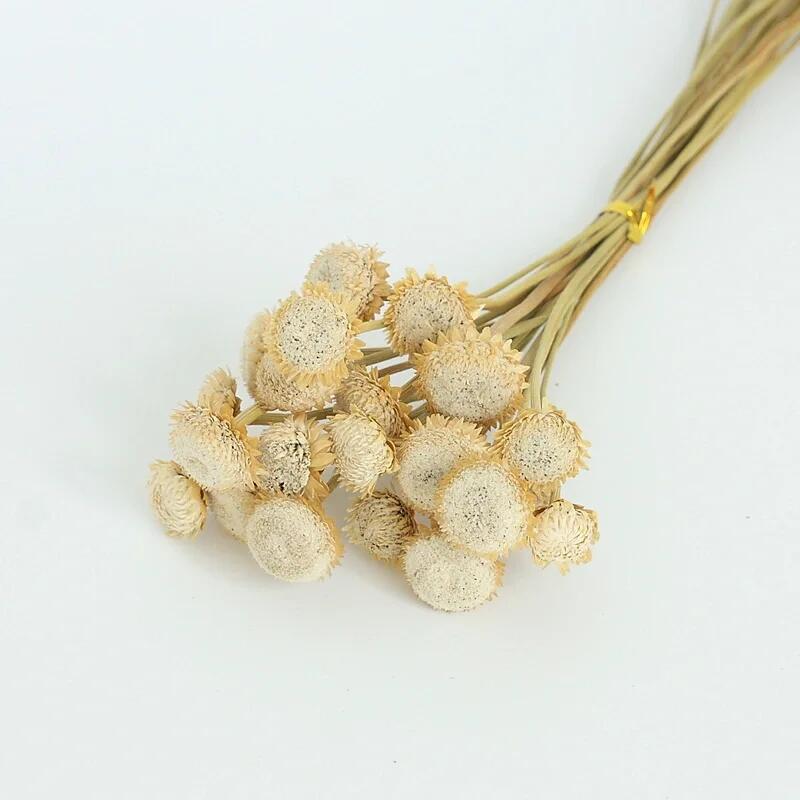 Preserved Eucalyptus & Sunflower Bouquet with Baby's Breath and Reeds – Perfect for Living Room Decor or Photography