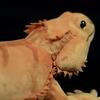 Reptile Lizard Plush Toy 42cm Realistic Lizard Toy Model Cute Plush Toy Home Decoration Unique Plush Toy...