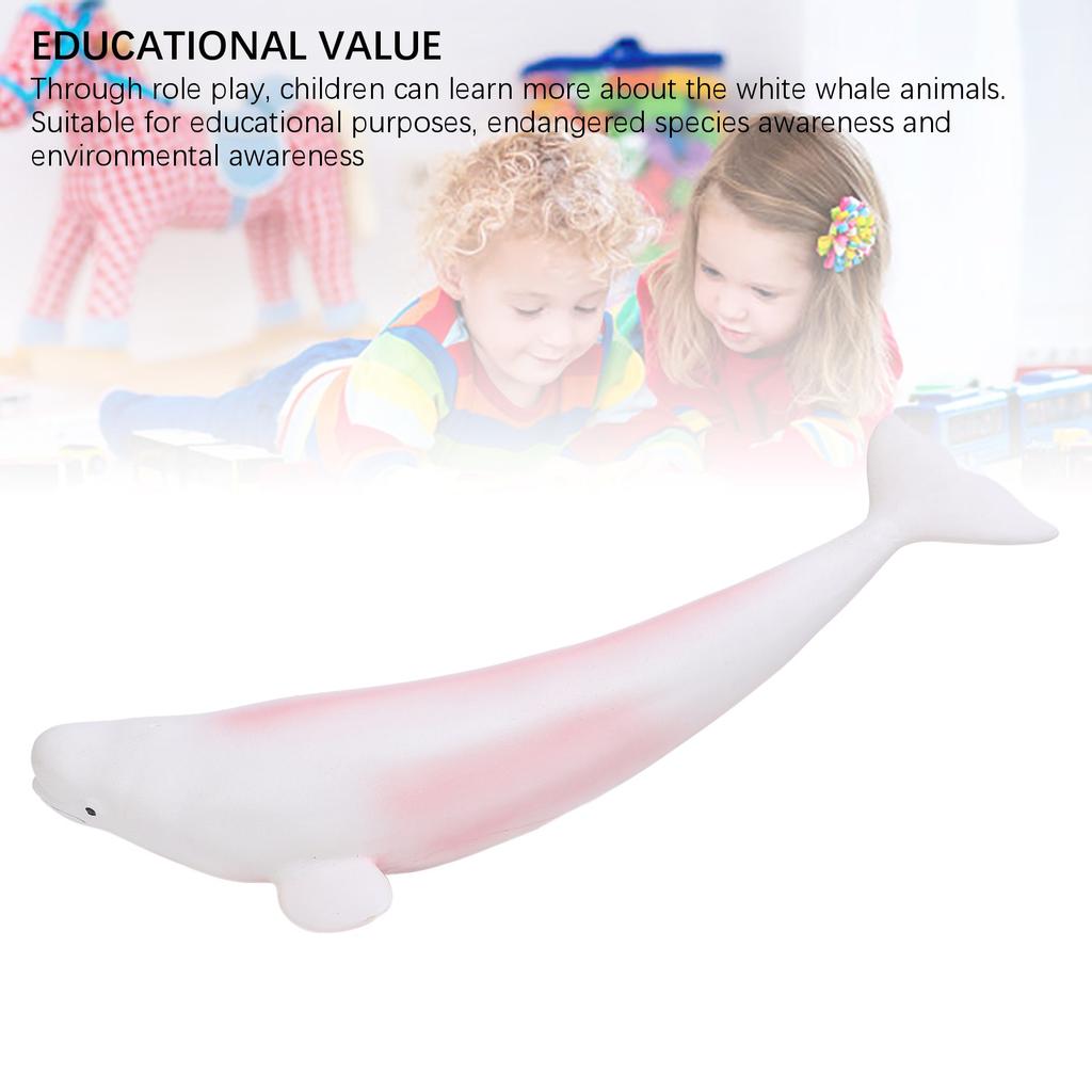 Model bílé velryby Simulační socha Zvíře z moře Figurka Hračka pro vzdělávání dětí L
