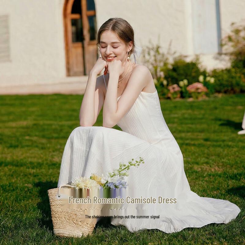 Elegant French Style Sleeveless A-Line Dress