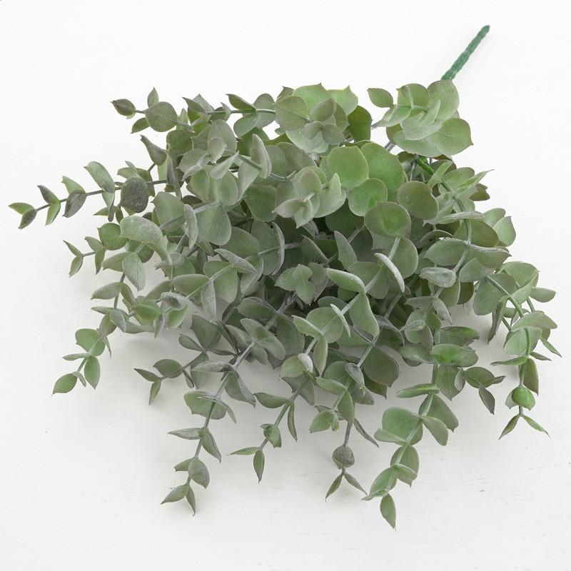 Eucalyptus Plant Globulus Foliage For Home Enhancement Photography Prop
