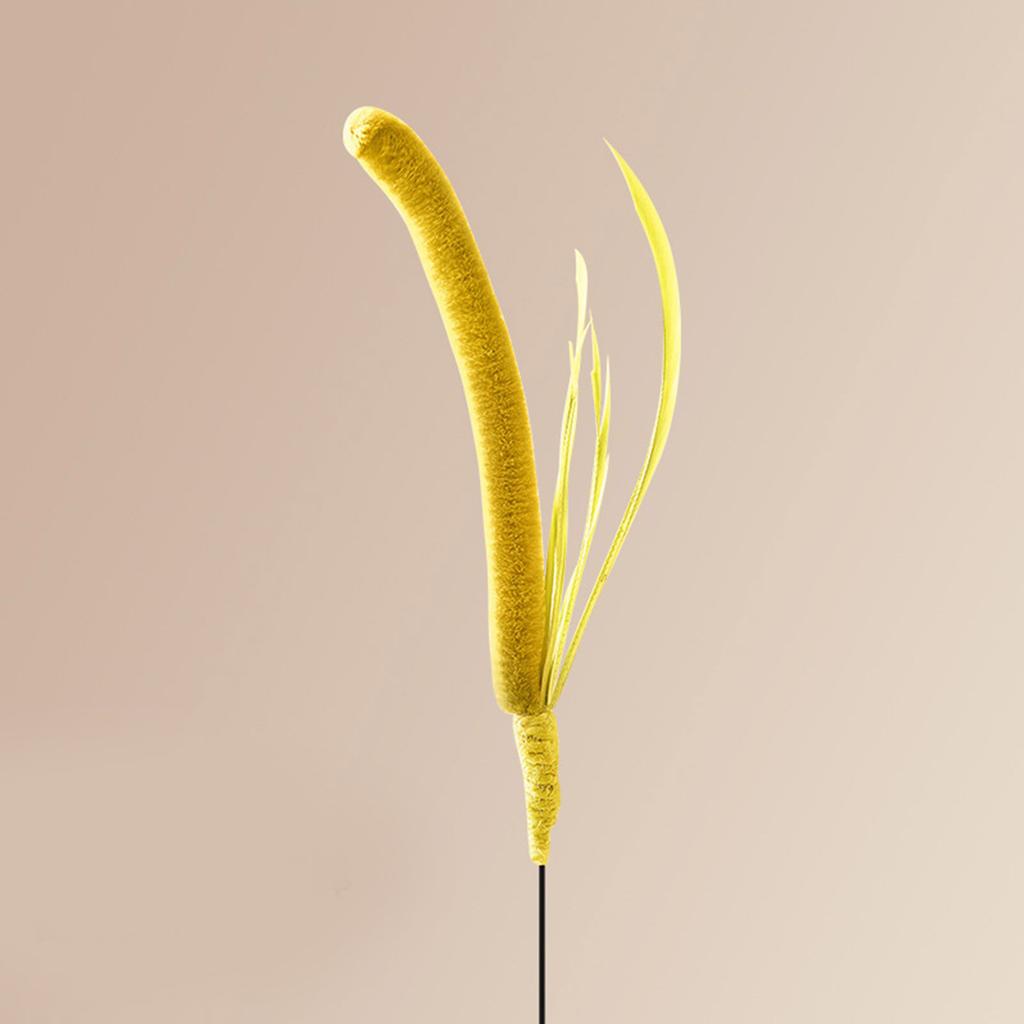 Pet Cat Teaser Rod for Stimulating Feline Curiosity Wand with Foxtail Setaria Grass for Active Pets and Fun Exercise