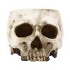 Modern Miniature Skull Resin Planter Unique Skull Shape Halloween Flower Pot for Air Plant And Small Greeneries Display