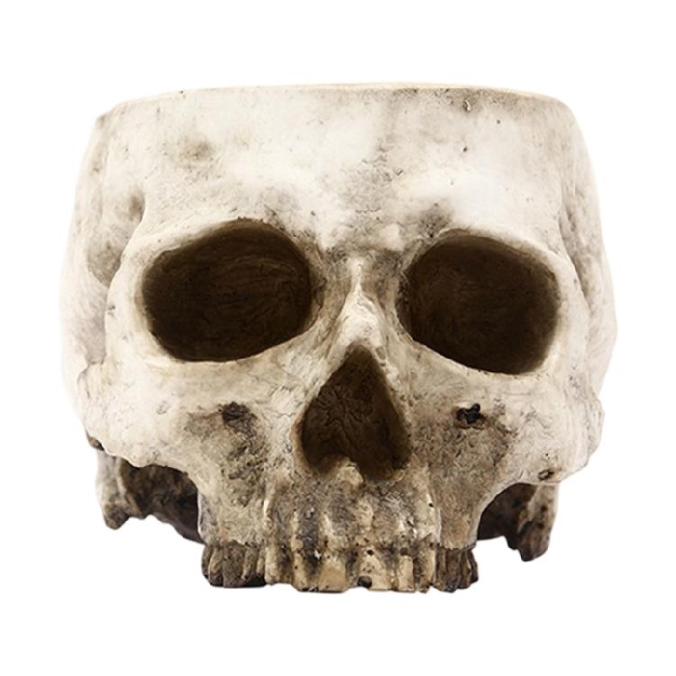 Modern Miniature Skull Resin Planter Unique Skull Shape Halloween Flower Pot for Air Plant And Small Greeneries Display
