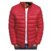 Men's  Winter Zipper Warm Down Jacket Packable Light  Coat