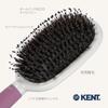 GB KENT Kent Boar Bristle Hair Cushion Hair Care Nylon Gentle On Tangle Finishing KENT Create KCR4 Brush, Brush, Brush, Shine, Manageability, Pins,