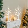 PEIDUO Christmas Decorations Indoor, 2 FT Birch Tree with LED Lights, Fairy Light Spirit Tree for Christmas Decor, Warm White Lighted Birch Trees for