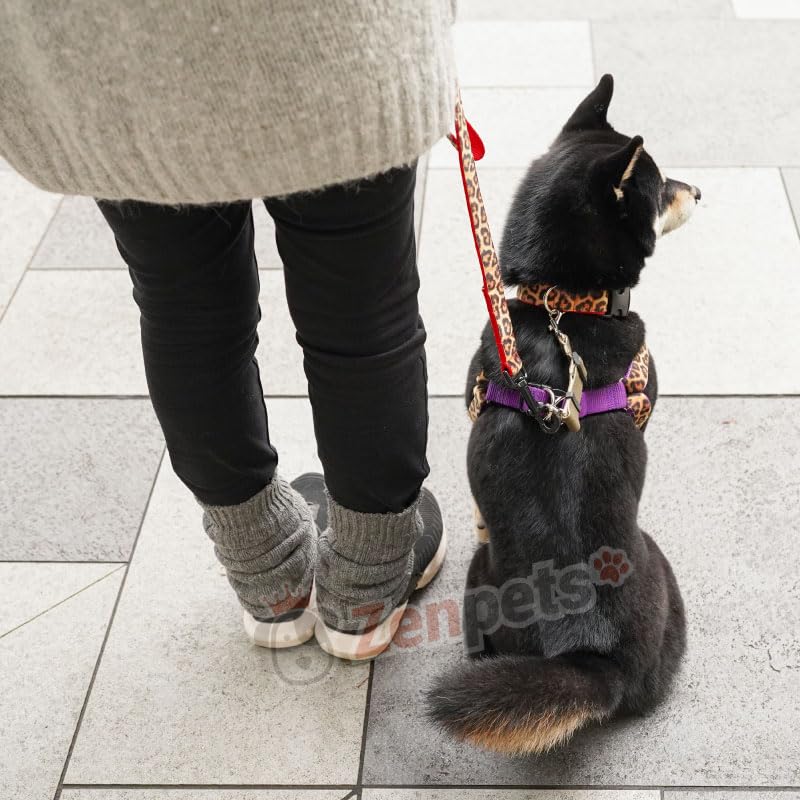 Zenpets Dog Joint Made in Prevents Safety For Medium and Large 20mm Beige Hook, Plain, Japan, Safe, Slipping, Measures, Dogs, Width,