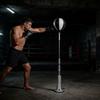 Professional Quick Ball For Combat Sports Workout Improves Reaction Coordination And Quickness