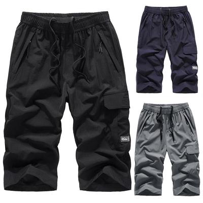 Men's Summer Slim Quick Dry Beach Thin Section Straight Work Trousers Casual Elastic Waist Seven Sports Shorts