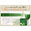Everlife Delicious Green Juice, Freshly Squeezed, 30 Packets