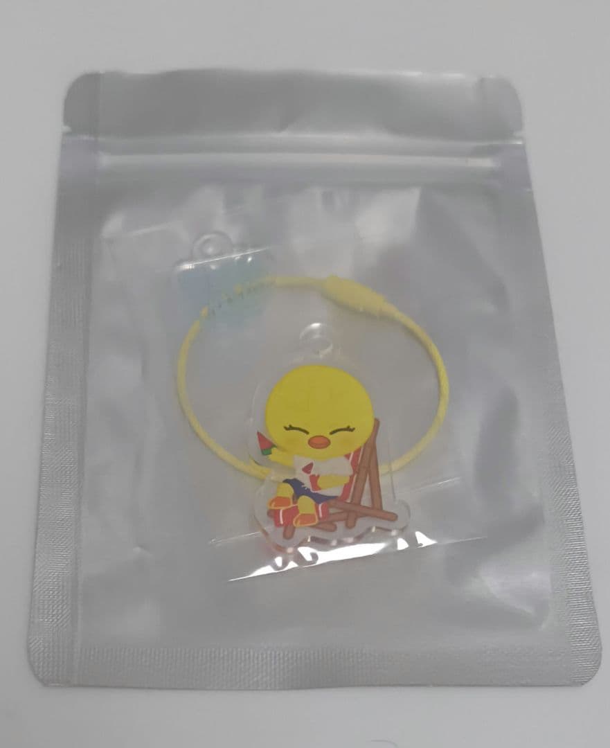 

[USED] SKZOO DIY Keychain Pogari