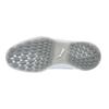 Golf Shoes Ignite FASTEN8 Puma Rise cm 3E [PUMA] Men's White/Puma Silver/High 27.5