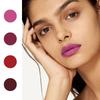 Sada 4 tenkých rtěnek Pevný lesk na rty Matný / Hydratační make-up na rty Kosmetika Dárek pro dívky ženy 1,5 g*4 Kosmetika Make-up