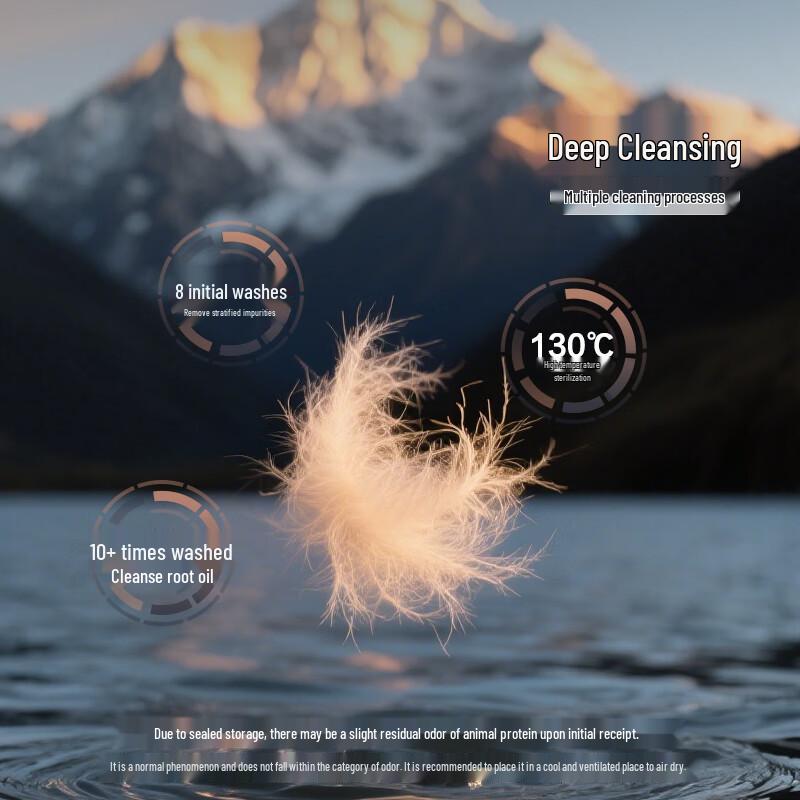 Fuanna 95% Imported White Goose Down Winter Comforter