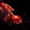 Red Candle Romantic Novices Special Couple Aromatherapy Rose Peony Flower Dark Gothic Handmade