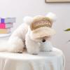 Lamb Fleece Warm Pet Hat Comfortable Baseball Hat Soft Breathable Pet Embroidery Hat for Puppies Small Doggy Cats