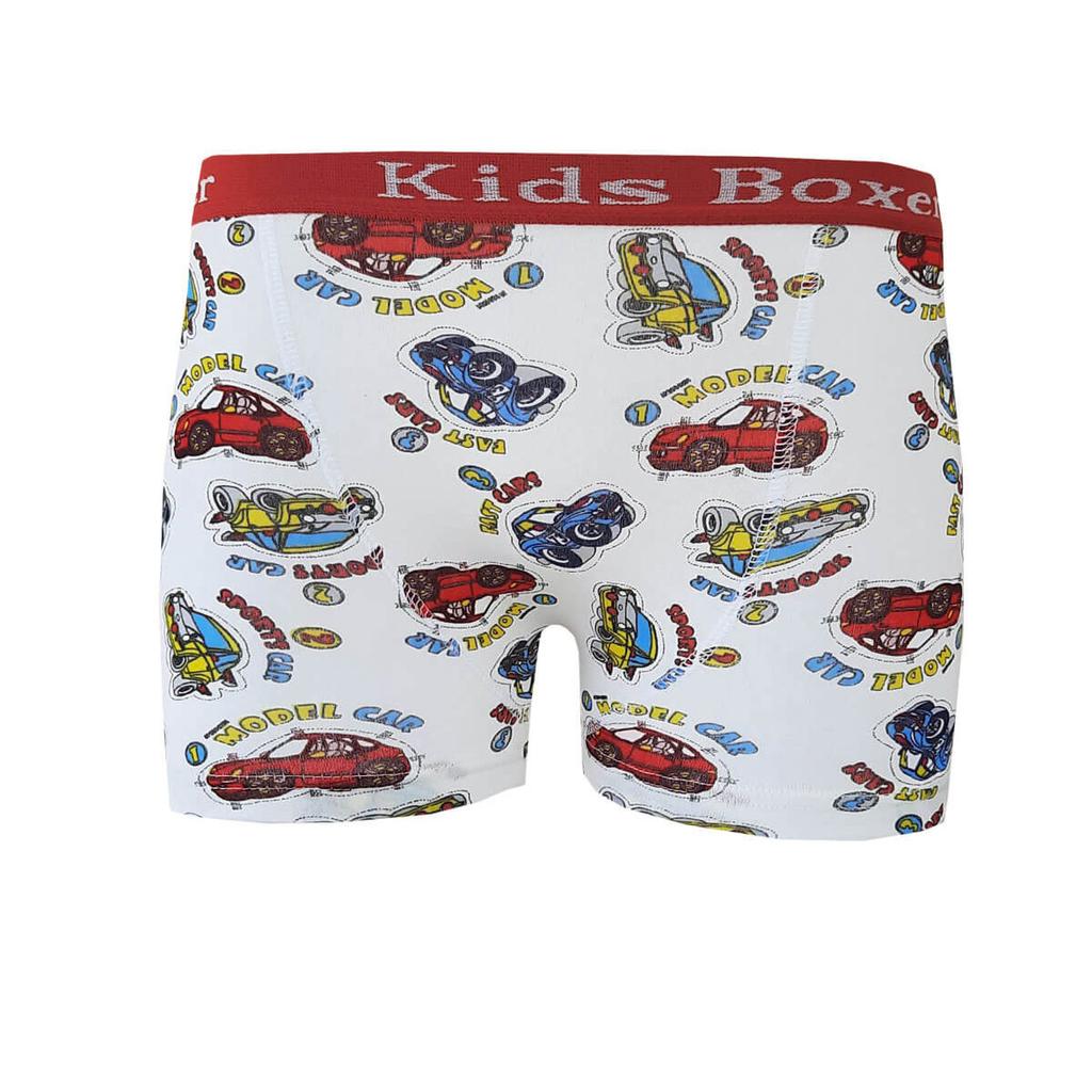 Bokserki chłopięce z masą perłową 12 z kolorowym nadrukiem