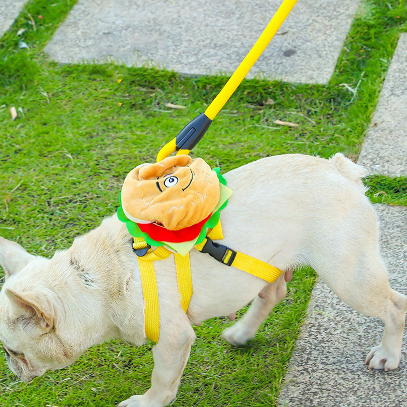 

Dog Backpack Harness,No Pull Vest Cute with Leash Pet Puppy Self Carrier Bag for Camping Training