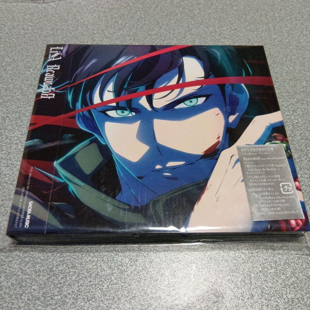[USED] GIANT StrayKids First Press Limited Edition B