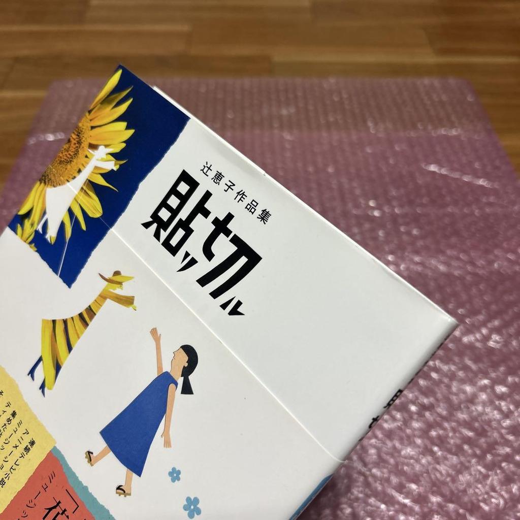 [USED] Keiko Tsuji's Works Collection Paste Cut