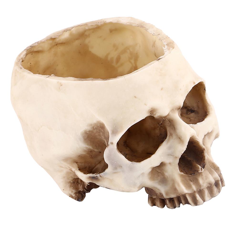 1pc Resin Skull Head Design Flower Pot Planter Container Decoration