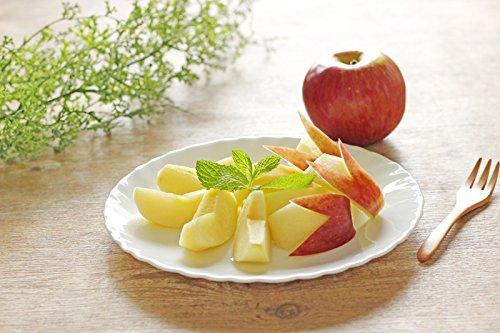 Bormioli Rocco Sturdy White Plates, Set of 10