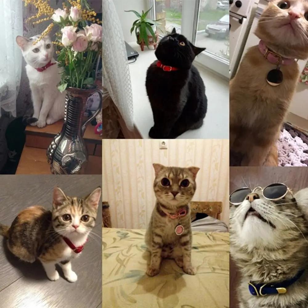 Cute Flocked Cloth Cat Collars Adjustable Durable Kitten with Or Without a Bell Pet Supplies Cat Dog