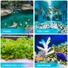Pești și animale marine – Iluminare acvariu
