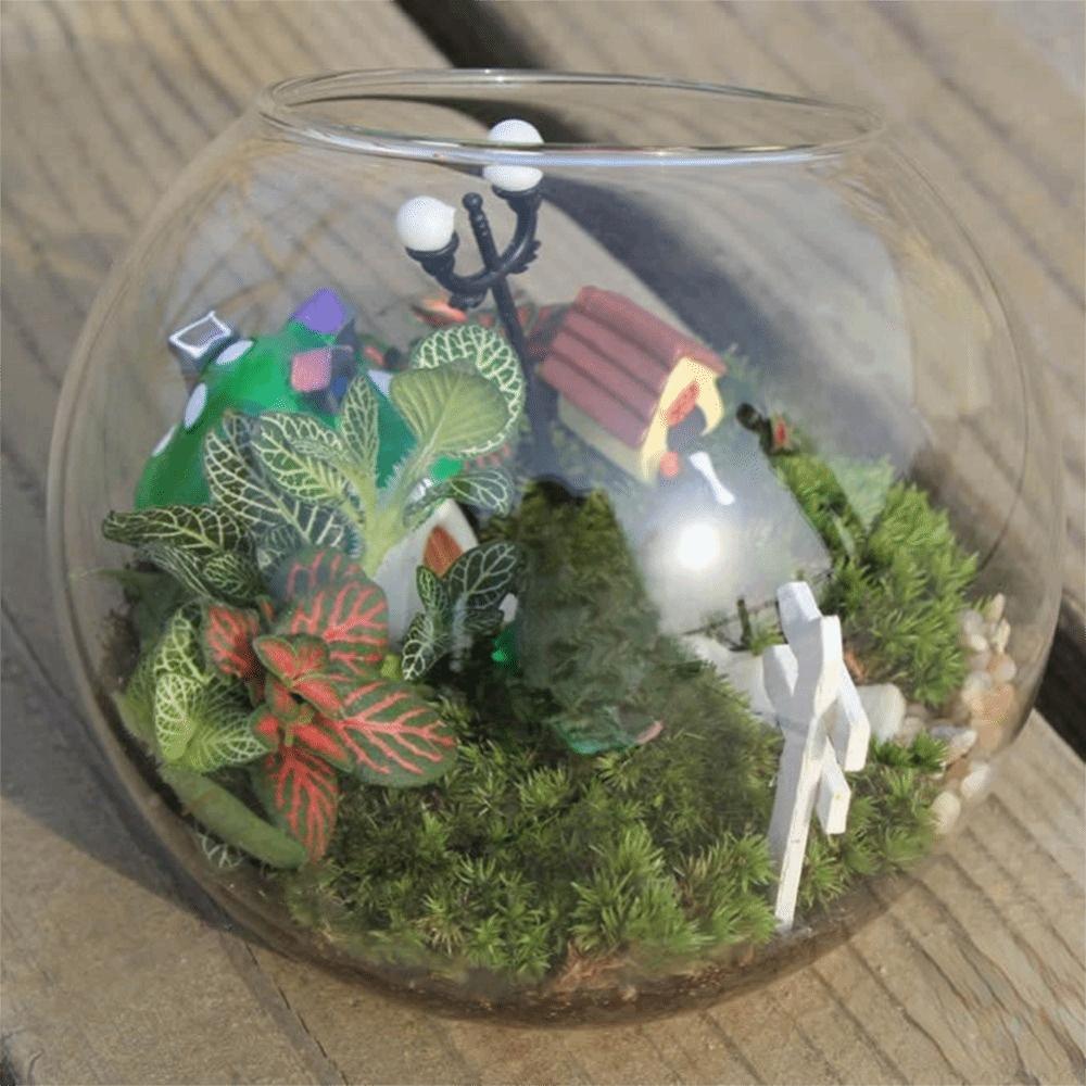 Oblique Clear Glass Ball Vase Clear Succulents Plant Container Borosilicate Glass Vase  Hydroponics