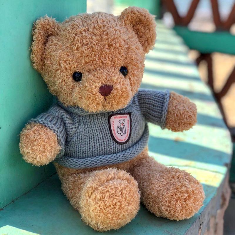 Cute Hug Bear Teddy Bear Doll Doll Sleeping with Clothes Bear Rag Doll Plush Toy Gift