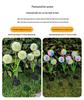 Crossled Outdoor Solar Dandelion Stake: Colorful Garden Atmosphere Light