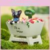 Black Small Fresh Cat Rose Garden Plant Pot Ornament For Home Office And Gifts
