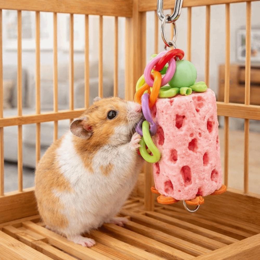 Interactive Hamster Grinding Stone Hanging Birds Grinding Perch Funny Parrot Chewing Toys  Hamster