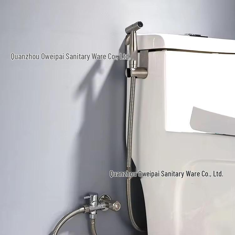 Stainless Steel Bidet Sprayer Set - Toilet Companion & Booster Shower Head