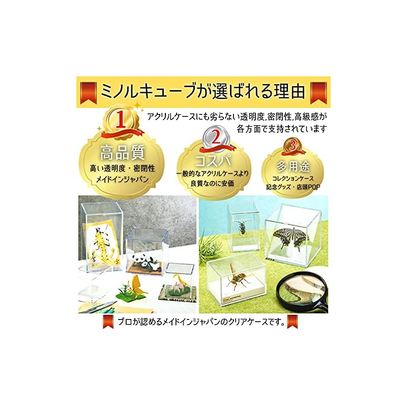Minoru Cube Standard L Long Size x 1 (Made in Japan) Figure Case, Transparent Collection Case, Display Box, Dustproof, Desktop Storage, Customizable