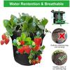 Multi-port  strawberry planting bag 3-port 6-port 8-port plant bag felt cloth fragrant grass bag color planting bag