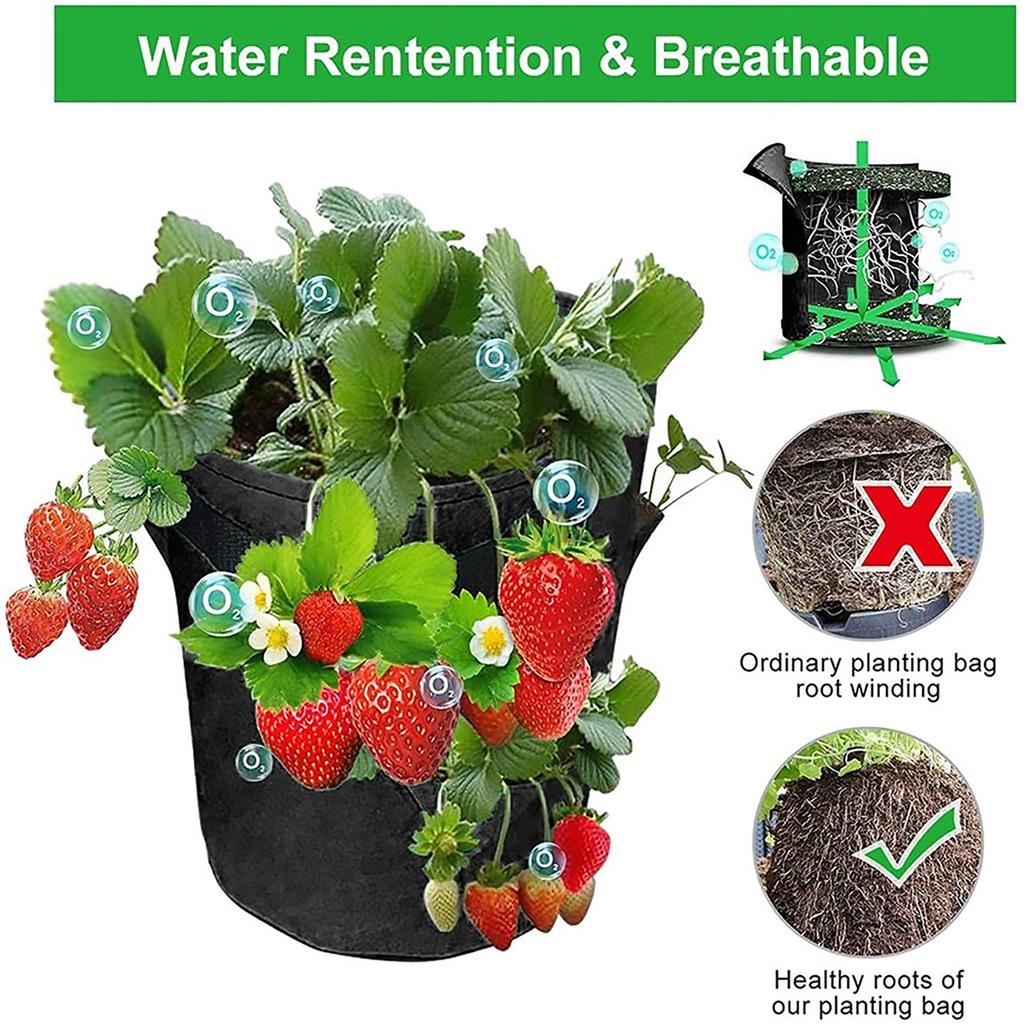 Multi-port  strawberry planting bag 3-port 6-port 8-port plant bag felt cloth fragrant grass bag color planting bag