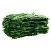 VidaXL Écran de Balcon avec Feuilles, Brise-vue, Écran de Confidentialité, Clôture de Protection, Écran d'Intimité Jardin, 367844