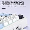 Wolfspider F75max Tri-Mode Wireless RGB Mechanical Gaming Keyboard with Customization and Side Engraving.