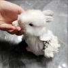 Fashion Adjustable Rabbit Outdoor Harness  Comfortable Pet Traction Suit Plaid Rabbit Sleeveless Dress Outdoor