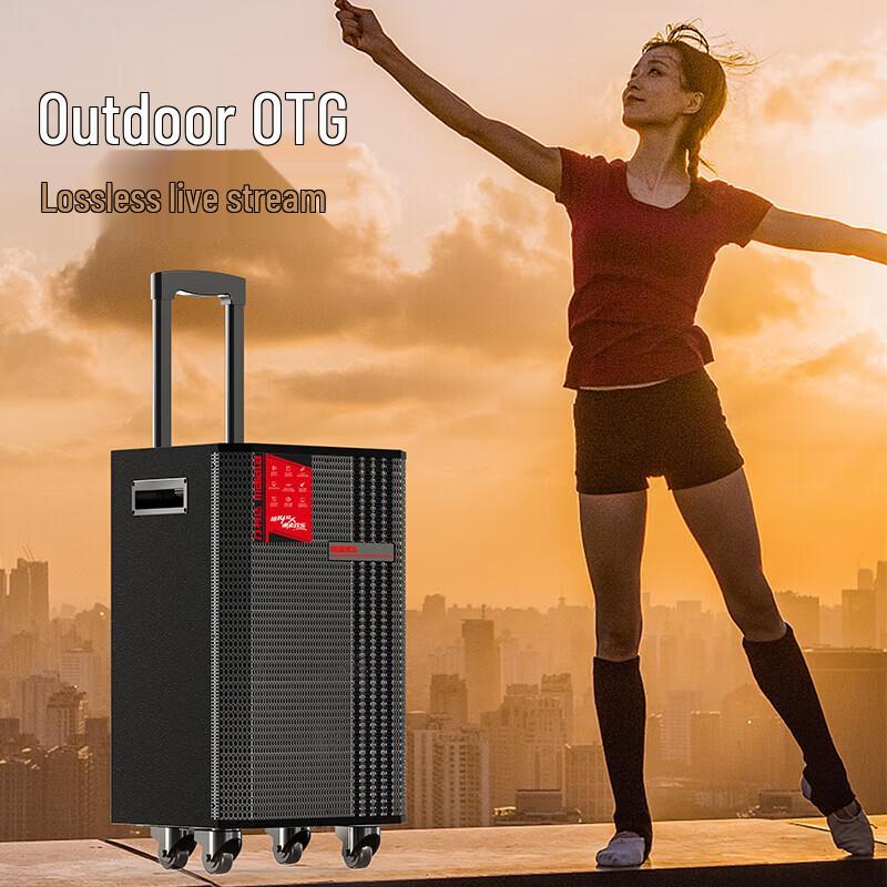 Malata M+9295 Portable Outdoor Bluetooth Trolley Speaker