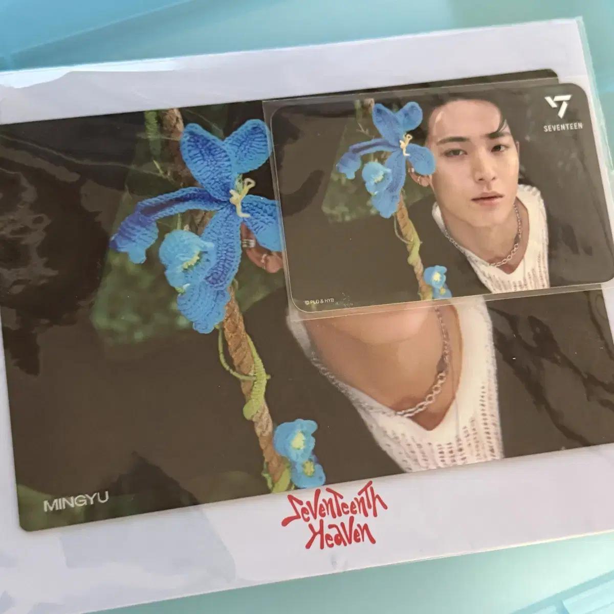 

Seventeen 3d Lenticular Postcard Mingyu