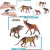 Simulated Wild Animal Wolf Model Ornament For Kids Educational Display With Realistic Design