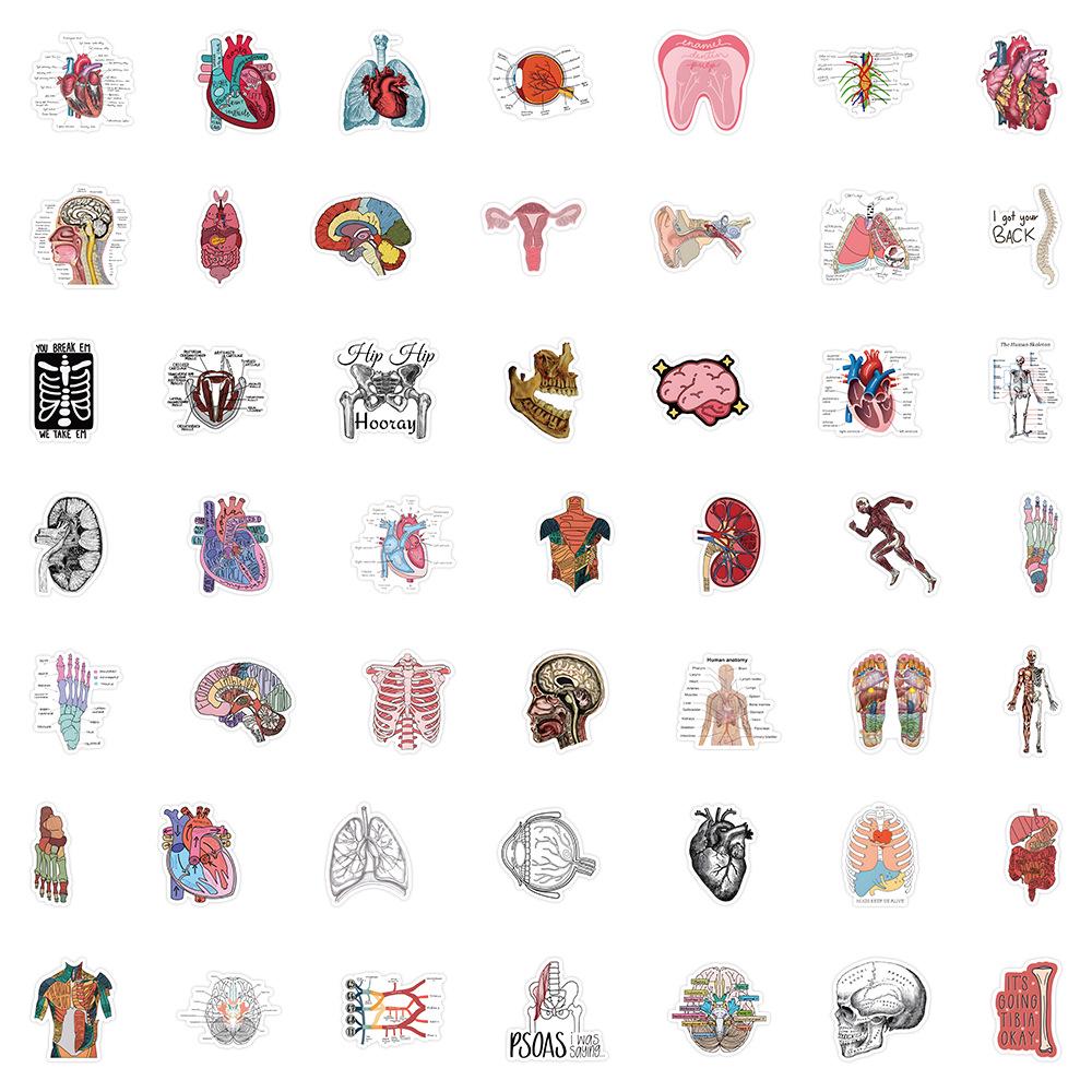 50 Cross-border Human Anatomy Graffiti Suitcase Stickers